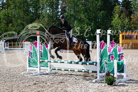 2025 - Haylee - Picco Horse Show - Thursday July 24th 01080