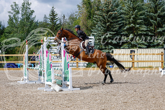2025 - Haylee - Picco Horse Show - Sunday July 27th 02721