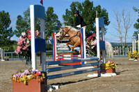 586