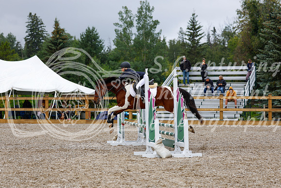 2025 - Haylee - Picco Horse Show - Sunday July 27th 01452