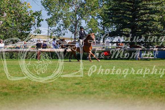 2025 - Haylee - Rocky Mountain Classic III - Saturday August 23rd - 07868