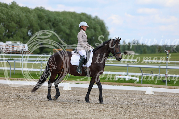 2025 - Dressage Festival - Saturday July 5th - 10674