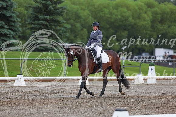 2025 - Dressage Festival - Sunday July 6th - 02422