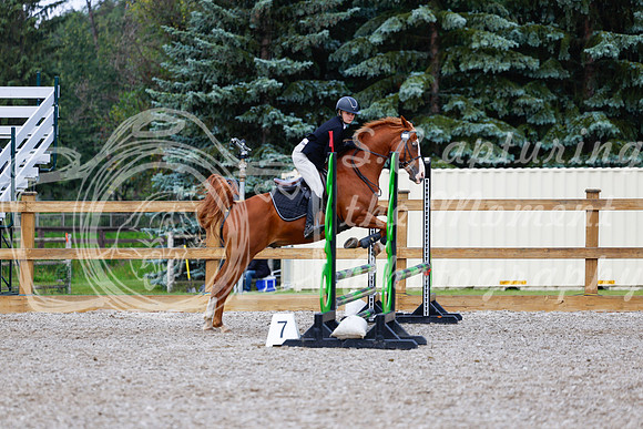 2025 - Haylee - Picco Horse Show - Sunday July 27th 02178