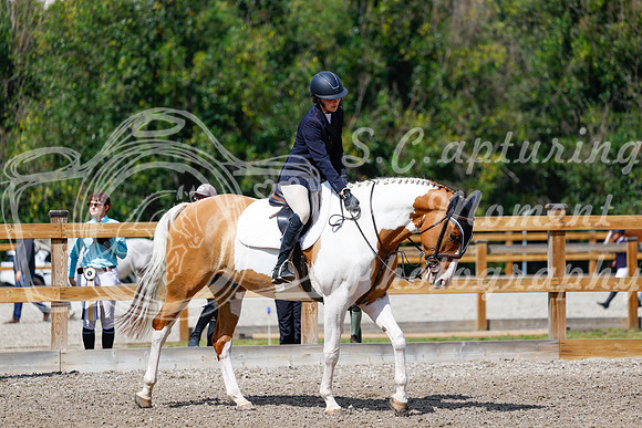 2025 - Haylee - Picco Horse Show - Sunday July 27th 05552