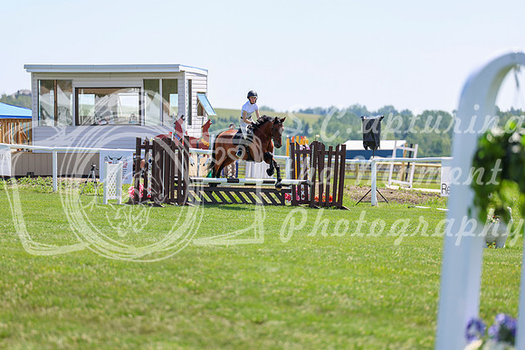 2025 - Shea - Teesdale - Thursday July 24th - 01637