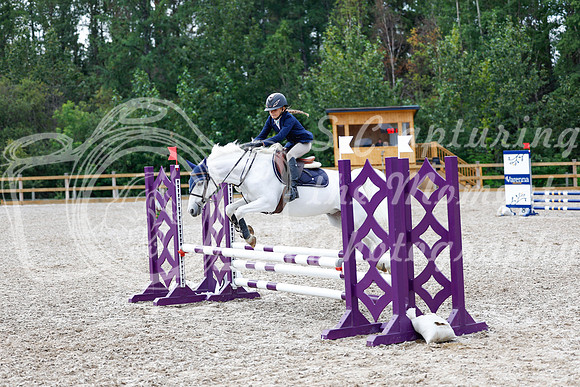 2025 - Haylee - Picco Horse Show - Saturday July 26th 03057