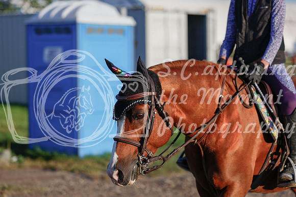 2025 - Haylee - Rocky Mountain Classic III - Friday August 22nd - 00010