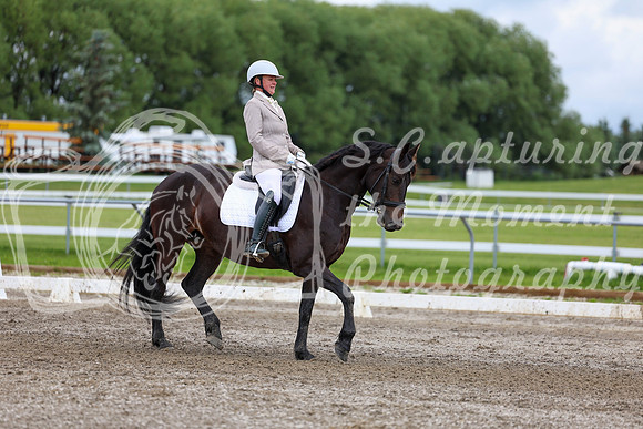 2025 - Dressage Festival - Sunday July 6th - 10456