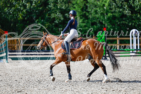 2025 - Haylee - Picco Horse Show - Thursday July 24th 01029