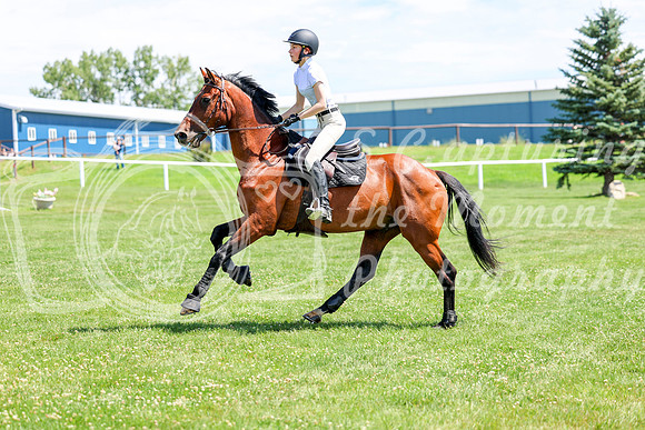 2025 - Shea - Teesdale - Thursday July 24th - 01648