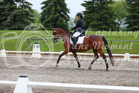 2025 - Dressage Festival - Sunday July 6th - 07814