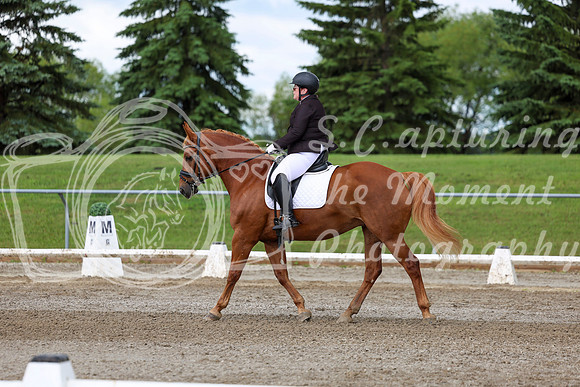 2025 - Dressage Festival - Sunday July 6th - 11340