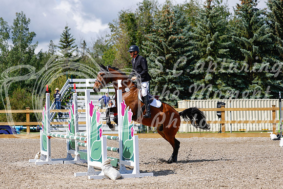 2025 - Haylee - Picco Horse Show - Sunday July 27th 02994