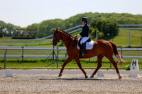 2025 - Dressage Festival - Saturday July 5th - 04786