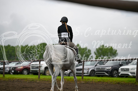 2025 - MJ - Teesdale - Saturday July 26th - 06313
