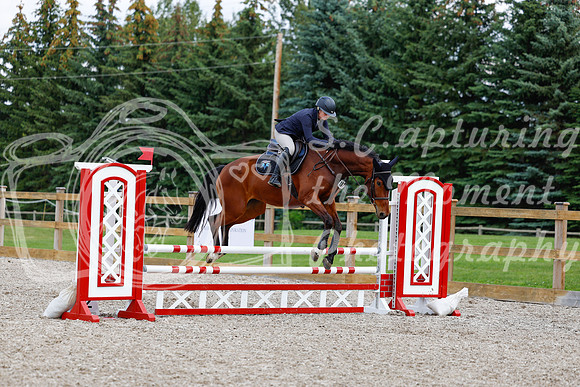 2025 - Haylee - Picco Horse Show - Saturday July 26th 06496