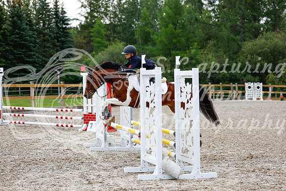 2025 - Haylee - Picco Horse Show - Saturday July 26th 01857