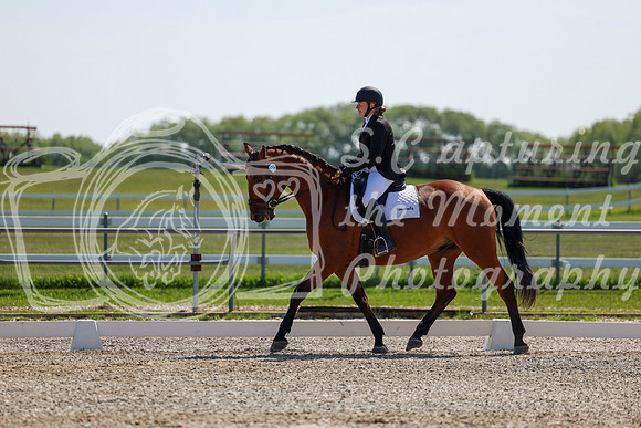 2025 - Dressage Festival - Saturday July 5th - 04339