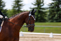 2025 - Dressage Festival - Saturday July 5th - 08465