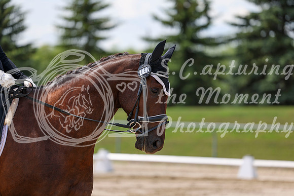 2025 - Dressage Festival - Saturday July 5th - 08465