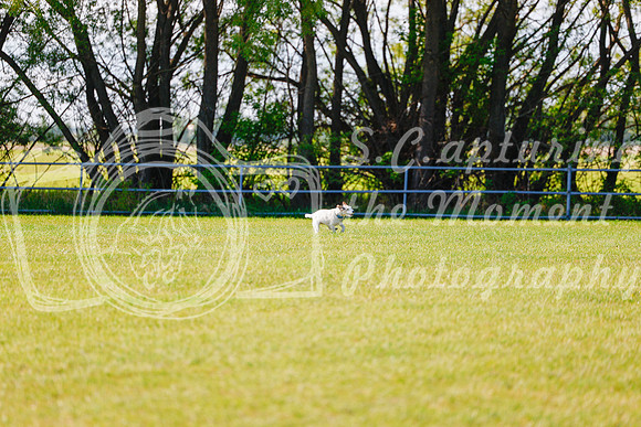 2025 - Haylee - Edmonton Classic - Friday, May 23rd - 00173