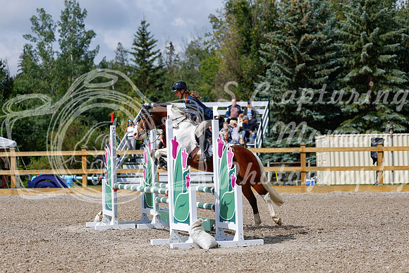 2025 - Haylee - Picco Horse Show - Sunday July 27th 02467