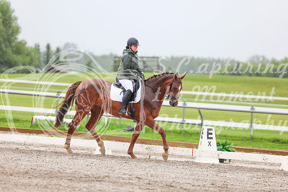 2025 - Dressage Festival - Sunday July 6th - 03596