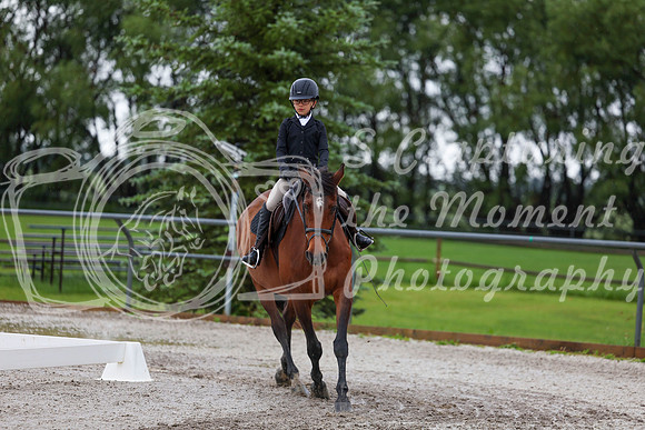 2025 - Dressage Festival - Sunday July 6th - 01807