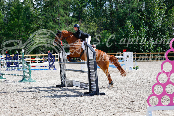 2025 - Haylee - Picco Horse Show - Friay July 25th 05063