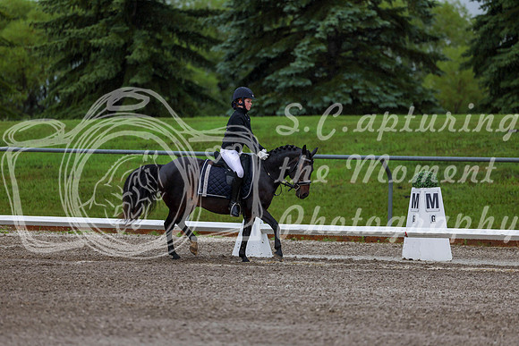 2025 - Dressage Festival - Sunday July 6th - 00026