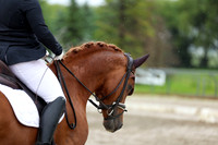 2025 - Dressage Festival - Sunday July 6th - 09007