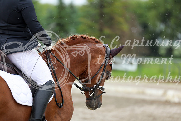 2025 - Dressage Festival - Sunday July 6th - 09007