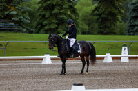 2025 - Dressage Festival - Sunday July 6th - 00009