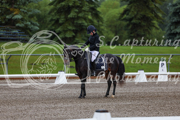 2025 - Dressage Festival - Sunday July 6th - 00009