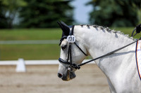 2025 - Dressage Festival - Saturday July 5th - 06572
