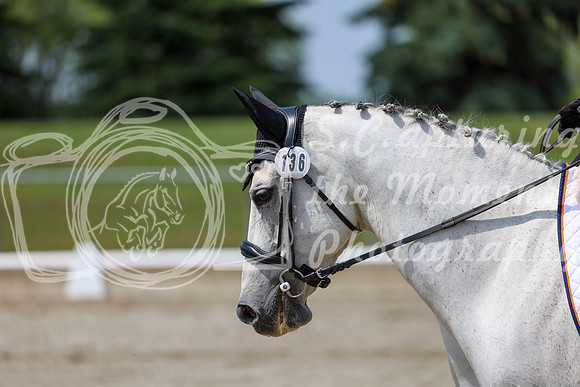 2025 - Dressage Festival - Saturday July 5th - 06572