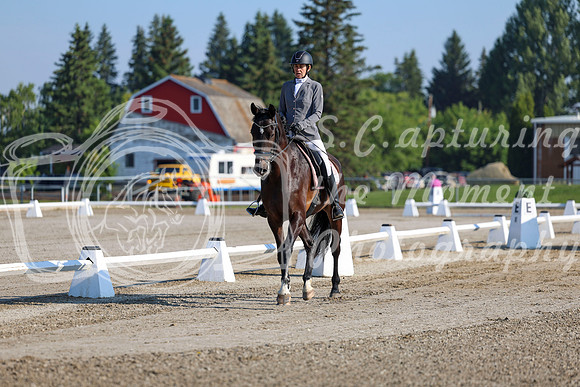 2025 - Dressage Festival - Saturday July 5th - 00098