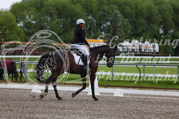 2025 - Dressage Festival - Sunday July 6th - 01283