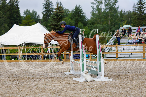2025 - Haylee - Picco Horse Show - Sunday July 27th 01937
