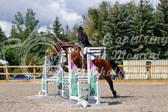 2025 - Haylee - Picco Horse Show - Sunday July 27th 02999