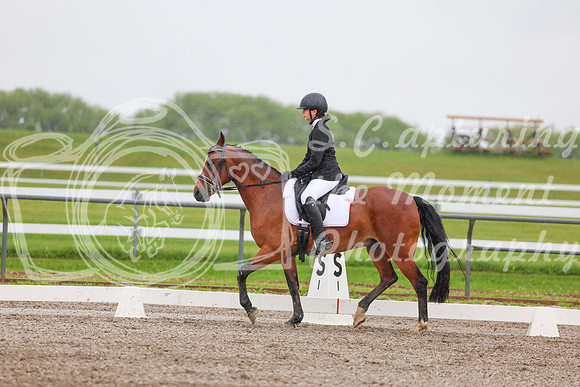 2025 - Dressage Festival - Sunday July 6th - 02998
