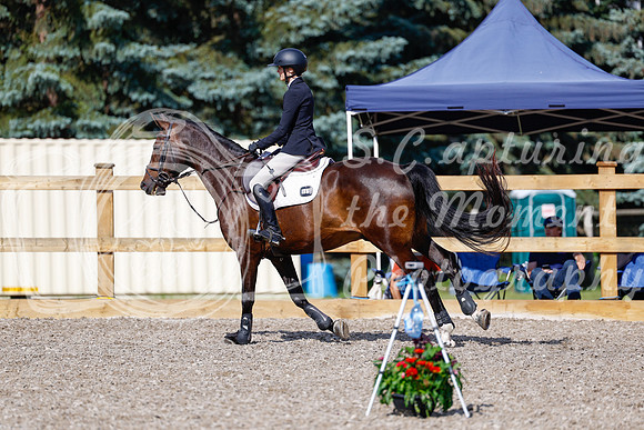2025 - Haylee - Picco Horse Show - Thursday July 24th 01082