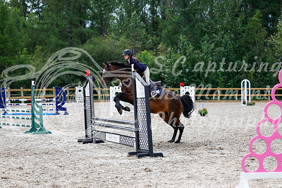 2025 - Haylee - Picco Horse Show - Friay July 25th 01883
