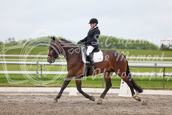 2025 - Dressage Festival - Sunday July 6th - 08796