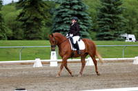 2025 - Dressage Festival - Sunday July 6th - 11295
