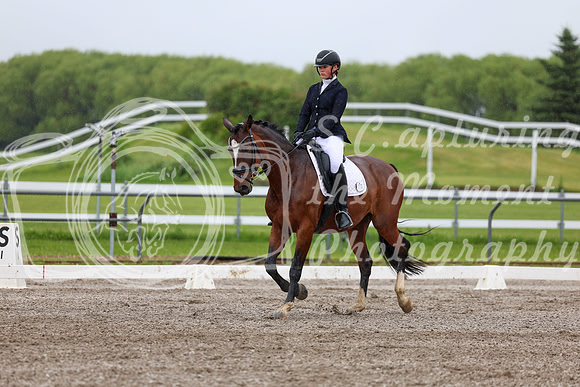 2025 - Dressage Festival - Sunday July 6th - 04275