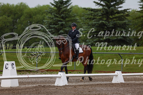 2025 - Dressage Festival - Sunday July 6th - 00336