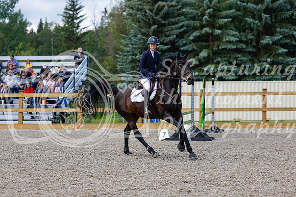 2025 - Haylee - Picco Horse Show - Sunday July 27th 02866