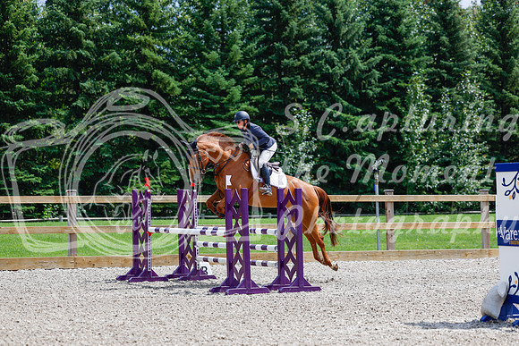 2025 - Haylee - Picco Horse Show - Sunday July 27th 04294
